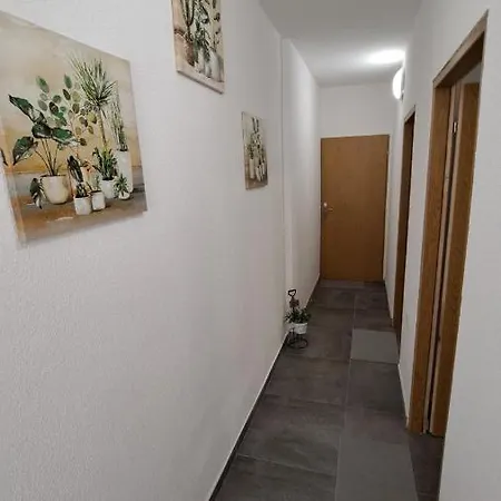Elita Prenociste *